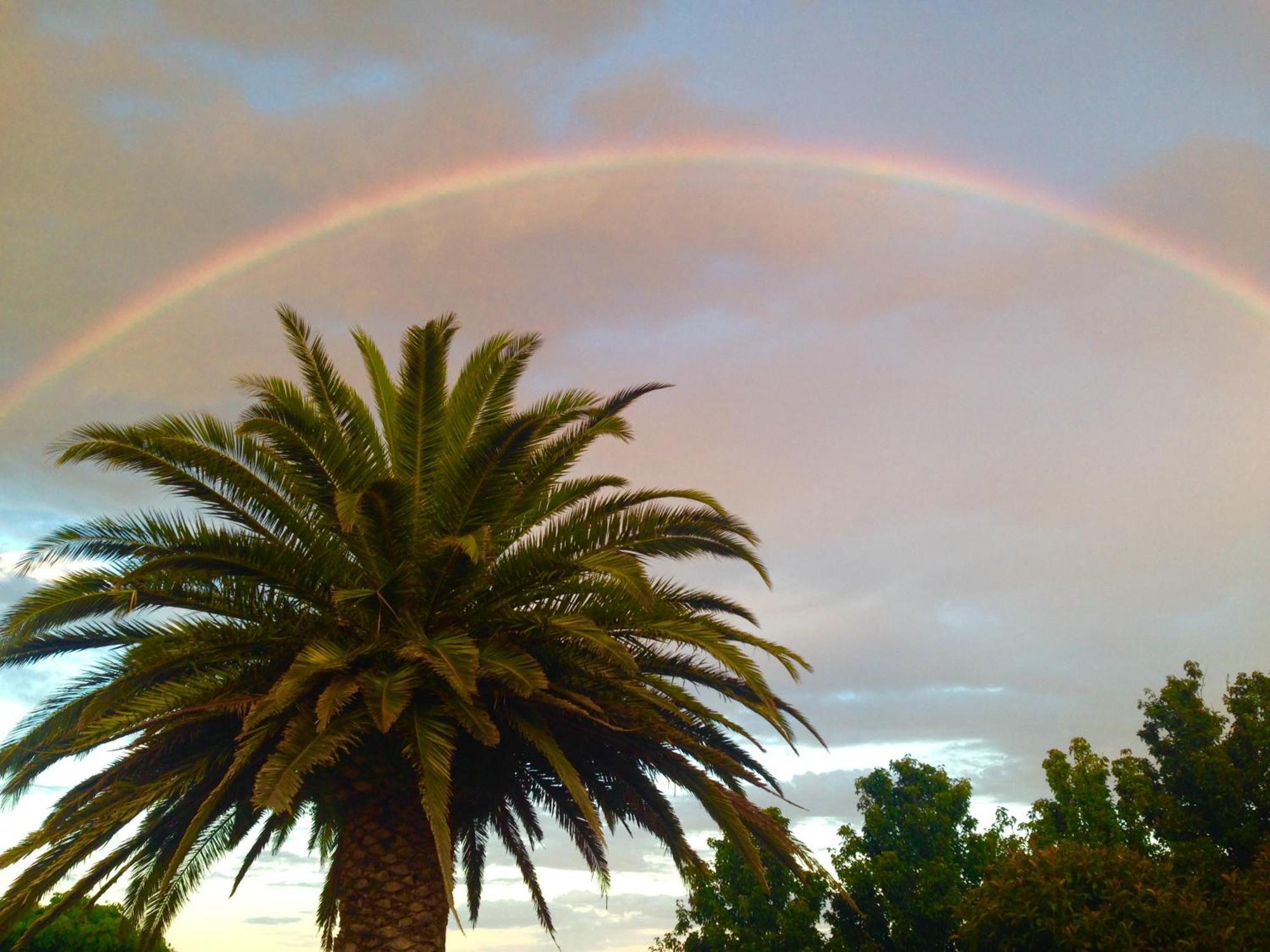 S T U D I O 22 Peaceful Retreat With Garden Views Apartment Port Lincoln Bagian luar foto